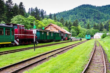 BİESZCZADY, POLAND - 3 HAZİRAN Dar göstergeli demiryolu, buhar treni. 3 Haziran 2015 'te Polonya' nın Bieszczady dağlarındaki Cisna 'dan Przysup' a turist treni kalkıyor..