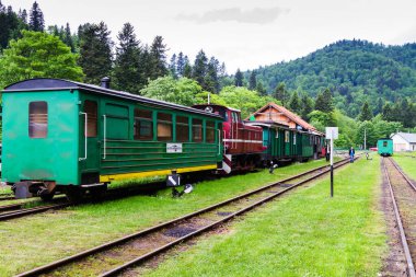 BİESZCZADY, POLAND - 3 HAZİRAN Dar göstergeli demiryolu, buhar treni. 3 Haziran 2015 'te Polonya' nın Bieszczady dağlarındaki Cisna 'dan Przysup' a turist treni kalkıyor..