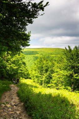 Dağlar manzaralı. Bieszczady Ulusal Parkı 'ndaki çayır ve orman manzarası. Karpat Dağları manzarası, Polonya.