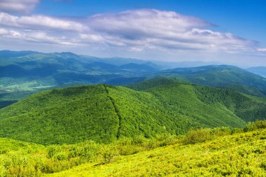 Dağlar manzaralı. Bieszczady Ulusal Parkı 'ndaki çayır ve orman manzarası. Karpat Dağları manzarası, Polonya. Mala ve Wielka Rawka 'ya giden yol.