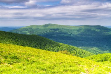 Dağlar manzaralı. Bieszczady Ulusal Parkı 'ndaki çayır ve orman manzarası. Karpat Dağları manzarası, Polonya. Mala ve Wielka Rawka 'ya giden yol.