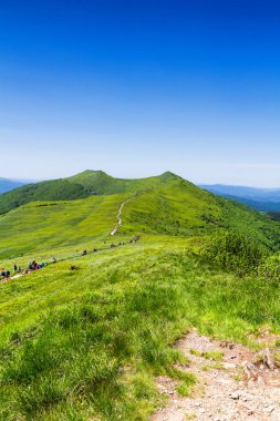 Dağlar manzaralı. Bieszczady Ulusal Parkı 'ndaki çayır ve orman manzarası. Karpat Dağları manzarası, Polonya. Bieszczady, Catpathian dağlarının bir parçası olan Beskid dağlarının bir parçasıdır..