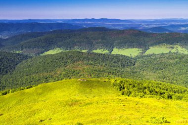 Dağlar manzaralı. Bieszczady Ulusal Parkı 'ndaki çayır ve orman manzarası. Karpat Dağları manzarası, Polonya. Bieszczady, Catpathian dağlarının bir parçası olan Beskid dağlarının bir parçasıdır..