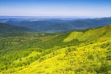 Dağlar manzaralı. Bieszczady Ulusal Parkı 'ndaki çayır ve orman manzarası. Karpat Dağları manzarası, Polonya. Bieszczady, Catpathian dağlarının bir parçası olan Beskid dağlarının bir parçasıdır..