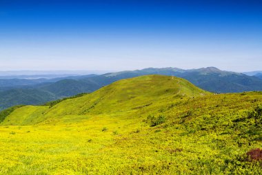 Dağlar manzaralı. Bieszczady Ulusal Parkı 'ndaki çayır ve orman manzarası. Karpat Dağları manzarası, Polonya. Bieszczady, Catpathian dağlarının bir parçası olan Beskid dağlarının bir parçasıdır..