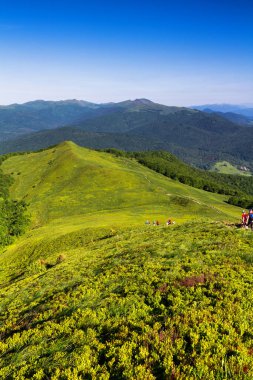 Dağlar manzaralı. Bieszczady Ulusal Parkı 'ndaki çayır ve orman manzarası. Karpat Dağları manzarası, Polonya. Bieszczady, Catpathian dağlarının bir parçası olan Beskid dağlarının bir parçasıdır..