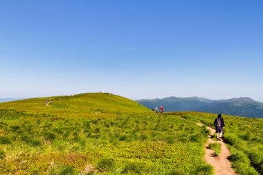 Dağlar manzaralı. Bieszczady Ulusal Parkı 'ndaki çayır ve orman manzarası. Karpat Dağları manzarası, Polonya. Bieszczady, Catpathian dağlarının bir parçası olan Beskid dağlarının bir parçasıdır..