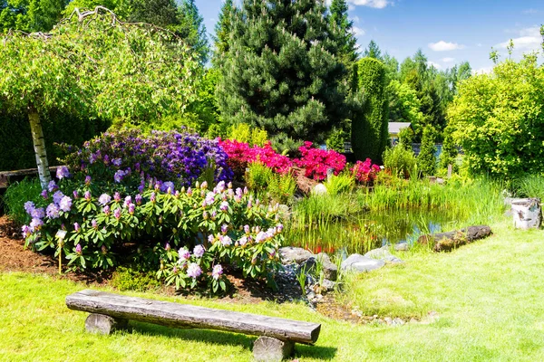 Bielsko Biala Pologne Mai Jardin Bien Entretenu Avec Azalée Rhododendrons — Photo