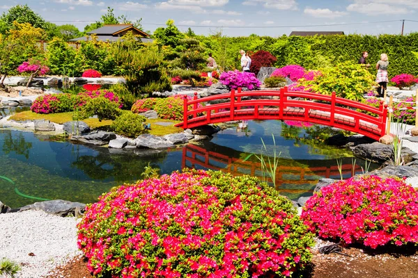 Een Japanse Tuin Het Voorjaar — Stockfoto