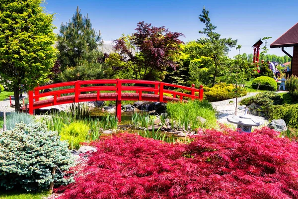 春天的日本花园 — 图库照片