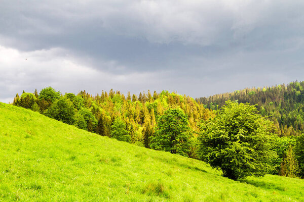 Beautiful mountain panorama after rain in a spring time. Pieniny mountains range, Poland