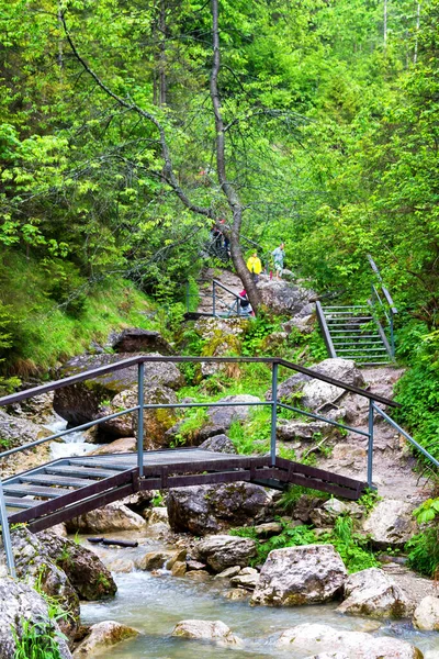 Homole Ravine Pieninských Horách Polsko — Stock fotografie