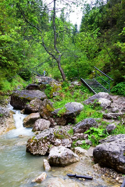 Homole Ravine Pieninybergen Polen — Stockfoto