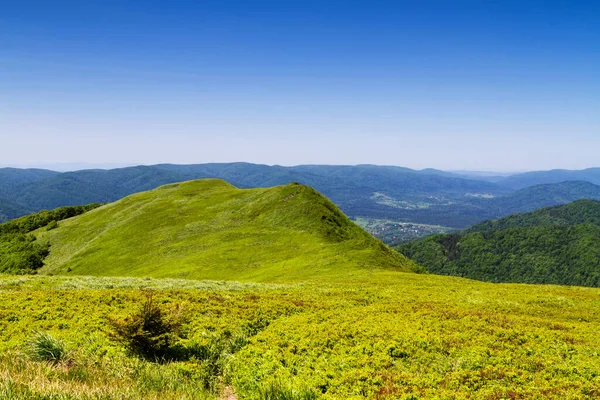 Mountains Scenery Panorama Grassland Forest Bieszczady National Park Carpathian Mountains — Stock Photo, Image