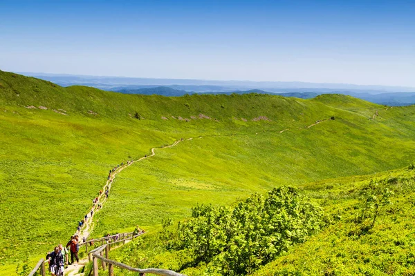 Mountains scenery. Panorama of grassland and forest in Bieszczady National Park. Carpathian mountains landscape, Poland. Bieszczady are part of Beskid mountains which a part of Catpathian mountains.