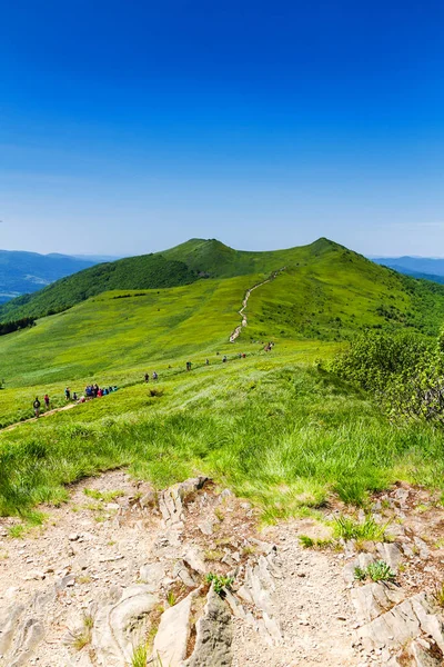 Mountain scenery. Panorama of grassland and forest in Bieszczady National Park. Carpathian mountains landscape, Poland. Bieszczady are part of Beskid mountains which a part of Catpathian mountains.