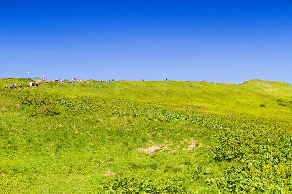 Mountains scenery. Panorama of grassland and forest in Bieszczady National Park. Carpathian mountains landscape, Poland. Bieszczady are part of Beskid mountains which a part of Catpathian mountains.