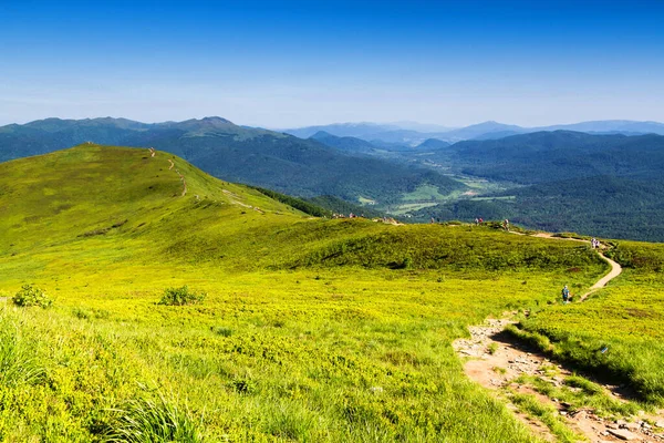 Bergslandskap Panorama Över Gräsmark Och Skog Bieszczady Nationalpark Karpaternas Bergslandskap — Stockfoto