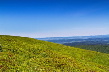 Dağlar manzaralı. Bieszczady Ulusal Parkı 'ndaki çayır ve orman manzarası. Karpat Dağları manzarası, Polonya. Bieszczady, Catpathian dağlarının bir parçası olan Beskid dağlarının bir parçasıdır..