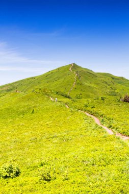 Dağlar manzaralı. Bieszczady Ulusal Parkı 'ndaki çayır ve orman manzarası. Karpat Dağları manzarası, Polonya. Bieszczady, Catpathian dağlarının bir parçası olan Beskid dağlarının bir parçasıdır..