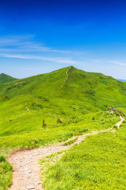 Dağlar manzaralı. Bieszczady Ulusal Parkı 'ndaki çayır ve orman manzarası. Karpat Dağları manzarası, Polonya. Bieszczady, Catpathian dağlarının bir parçası olan Beskid dağlarının bir parçasıdır..