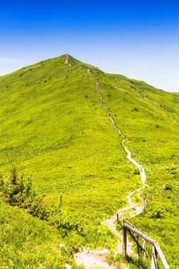 Dağlar manzaralı. Bieszczady Ulusal Parkı 'ndaki çayır ve orman manzarası. Karpat Dağları manzarası, Polonya. Bieszczady, Catpathian dağlarının bir parçası olan Beskid dağlarının bir parçasıdır..