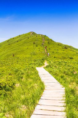 Dağlar manzaralı. Bieszczady Ulusal Parkı 'ndaki çayır ve orman manzarası. Karpat Dağları manzarası, Polonya. Bieszczady, Catpathian dağlarının bir parçası olan Beskid dağlarının bir parçasıdır..