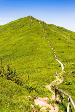 Dağlar manzaralı. Bieszczady Ulusal Parkı 'ndaki çayır ve orman manzarası. Karpat Dağları manzarası, Polonya. Bieszczady, Catpathian dağlarının bir parçası olan Beskid dağlarının bir parçasıdır..