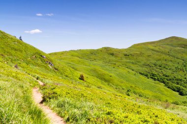 Dağlar manzaralı. Bieszczady Ulusal Parkı 'ndaki çayır ve orman manzarası. Karpat Dağları manzarası, Polonya. Bieszczady, Catpathian dağlarının bir parçası olan Beskid dağlarının bir parçasıdır..
