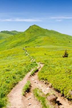 Dağlar manzaralı. Bieszczady Ulusal Parkı 'ndaki çayır ve orman manzarası. Karpat Dağları manzarası, Polonya. Bieszczady, Catpathian dağlarının bir parçası olan Beskid dağlarının bir parçasıdır..