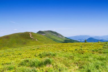 Dağlar manzaralı. Bieszczady Ulusal Parkı 'ndaki çayır ve orman manzarası. Karpat Dağları manzarası, Polonya. Bieszczady, Catpathian dağlarının bir parçası olan Beskid dağlarının bir parçasıdır..