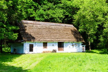 Polonya 'nın Krosno kentindeki açık hava etnografi müzesinde eski bir ahşap kulübe. Miras parkı ormanın yanında yer alır ve geçen yüzyıllardan tipik bir Polonya köyüne göç eder..