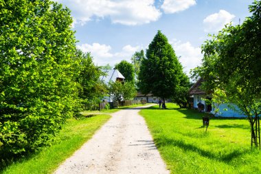 Polonya 'nın Krosno kentindeki açık hava etnografi müzesinde eski bir ahşap kulübe. Miras parkı ormanın yanında yer alır ve geçen yüzyıllardan tipik bir Polonya köyüne göç eder..