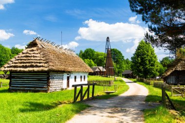 Polonya 'nın Krosno kentindeki açık hava etnografi müzesinde eski bir ahşap kulübe. Miras parkı ormanın yanında yer alır ve geçen yüzyıllardan tipik bir Polonya köyüne göç eder..