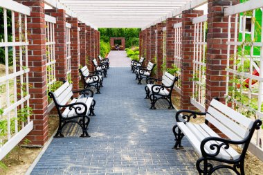 Banklarla dolu bir parkta. Perspektif görünümü.