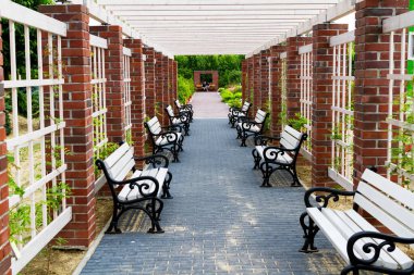 Banklarla dolu bir parkta. Perspektif görünümü.