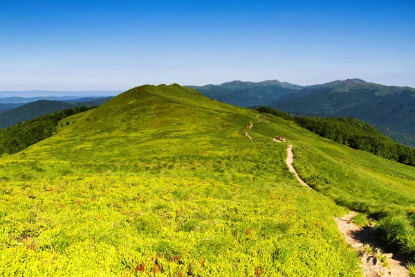 Mountains scenery. Panorama of grassland and forest in Bieszczady National Park. Carpathian mountains landscape, Poland. Bieszczady are part of Beskid mountains which a part of Catpathian mountains.