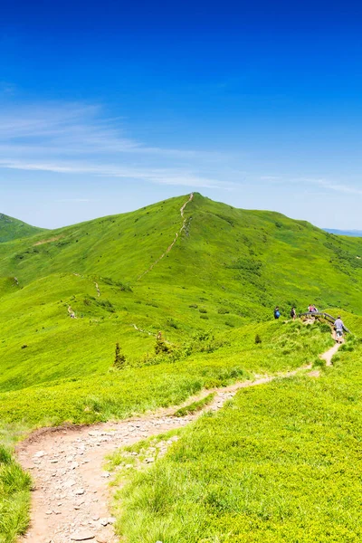 Bergslandskap Panorama Över Gräsmark Och Skog Bieszczady Nationalpark Karpaternas Bergslandskap — Stockfoto