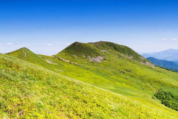 Mountains scenery. Panorama of grassland and forest in Bieszczady National Park. Carpathian mountains landscape, Poland. Bieszczady are part of Beskid mountains which a part of Catpathian mountains.