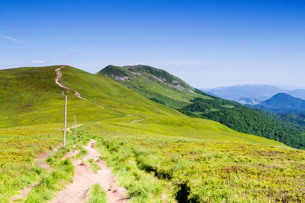 Mountains scenery. Panorama of grassland and forest in Bieszczady National Park. Carpathian mountains landscape, Poland. Bieszczady are part of Beskid mountains which a part of Catpathian mountains.