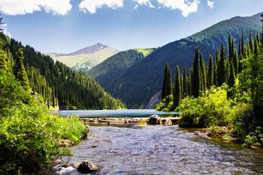 Kazakistan 'daki yüksek dağ gölü Kolsai' nin güzel manzarası, Tien Shan dağları, Orta Asya
