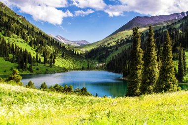 Kazakistan 'daki yüksek dağ gölü Kolsai' nin güzel manzarası, Tien Shan dağları, Orta Asya