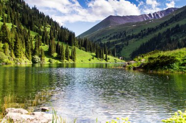 Kazakistan 'daki yüksek dağ gölü Kolsai' nin güzel manzarası, Tien Shan dağları, Orta Asya