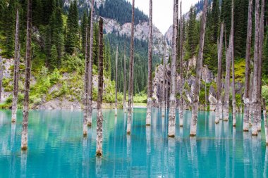 Tien Shan dağındaki Kaindy Gölü, Kazakistan.