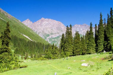 Tian Shan dağlarındaki Alatau Platosu Karakol, Kırgızistan, Orta Asya