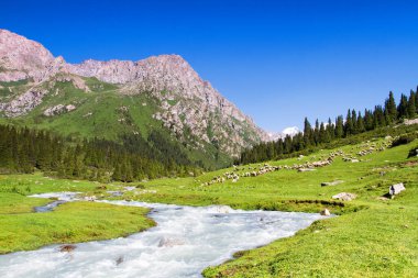 Tian Shan dağlarındaki Alatau Platosu Karakol, Kırgızistan, Orta Asya