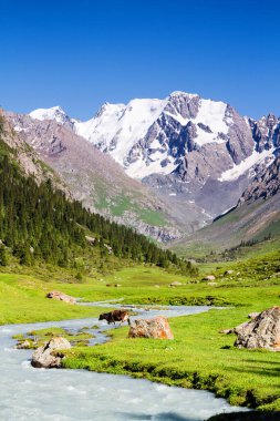 Tian Shan dağlarındaki Alatau Platosu Karakol, Kırgızistan, Orta Asya
