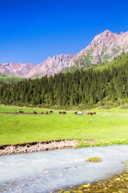 Tian Shan dağlarındaki Alatau Platosu Karakol, Kırgızistan, Orta Asya