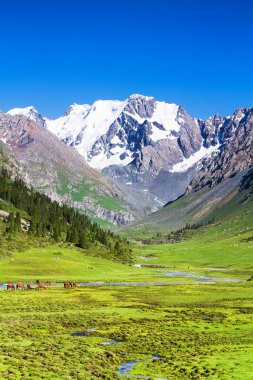 Tian Shan dağlarındaki Alatau Platosu Karakol, Kırgızistan, Orta Asya
