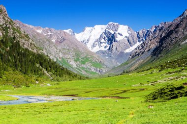 Tian Shan dağlarındaki Alatau Platosu Karakol, Kırgızistan, Orta Asya
